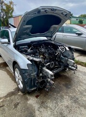 Fototapety na wymiar - Fototapeta24.pl