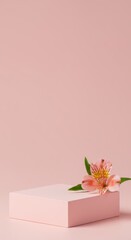 Pink Minimal Podium with Alstroemeria Flower for Product Display 