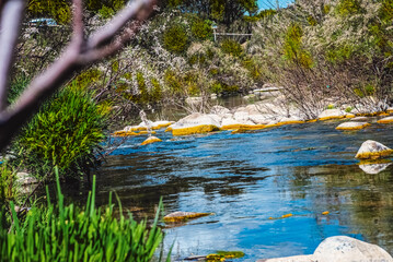 lake in the forest of chaouen