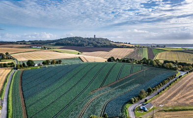  Aerial View of Scrabo Tower in its Rural Landscape
