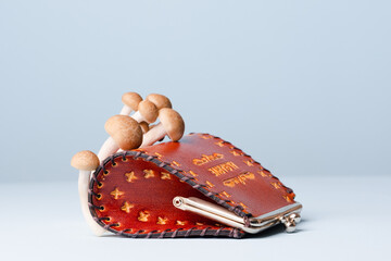 A leather wallet lies on a light blue surface, with small mushrooms sprouting from its surface. Environmentally friendly alternative to synthetic fibers in the textile industry. Fashion of the future.