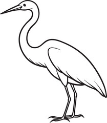 Fototapeta premium egret line art, coloring book page line art drawing, vector and illustration