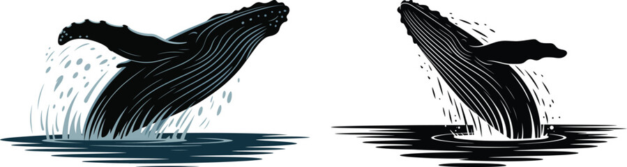 Two whales breaching the water in a black and white graphic