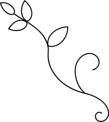 black and white abstract floral vector background