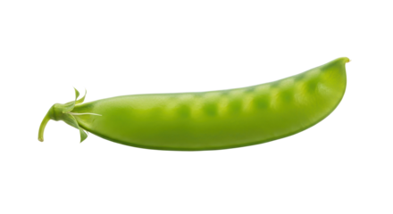 Fresh green sugar snap pea pod isolated on white studio background