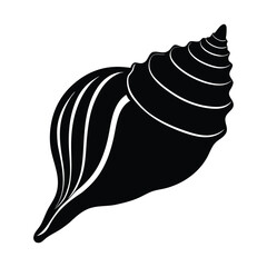 vector illustration of a black and white Channeled whelk shell