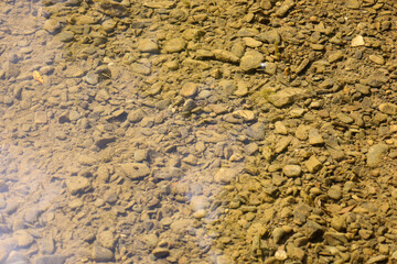 Sunbeams penetrate the clear water, illuminating the streambed with a multitude of small, multi-colored pebbles and sand. This textured photograph conveys a sense of calm and purity, showing the natur