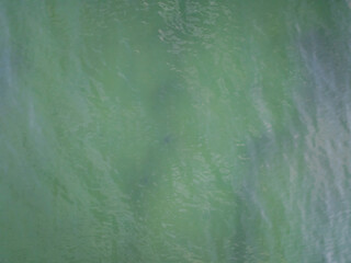 Abstract aerial top-down drone view of the serene, greenish waters of the Baltic Sea, revealing the sandy bottom below.