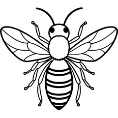 Minimalist Bee Line Art Illustration