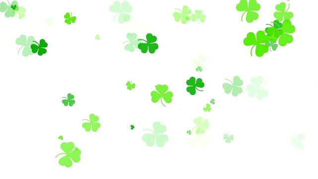 St. Patrick's Day green Shamrock Leaves background animation backdrop copy space clover leaf
