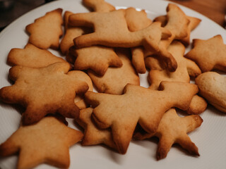 Christmas gingerbread homemade cookies
