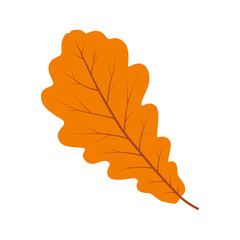 Oak leaf. Color vector illustration. PNG with transparent background.	