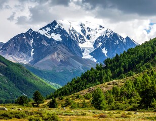 Fototapeta premium Mountain range with snow-capped peak
