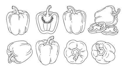 Set of hand drawn bell peppers in outline style fresh organic vegetables for culinary design and healthy eating silhouette