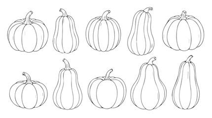 Collection of hand drawn autumn pumpkins and gourds in outline style for seasonal design elements silhouette