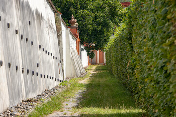 Path between overgrown hedges and a high retaining wall