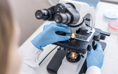 A laboratory female worker in blue gloves looks into a microscope and examines fragments of tissue. Examination under microscope. Close up view of test sample under the microscope in laboratory