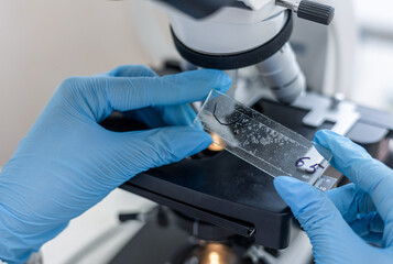 Female scientist using microscope in laboratory. Biotechnology specialist looking under microscope, doing analysis of test sample. Medical science laboratory: advanced equipment.