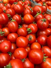 red tomatoes on the vine