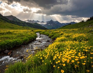 Mountain stream through a meadow of wildflowers