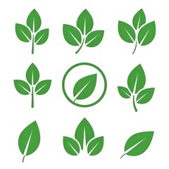 Set of green leaf illustrations for nature-themed design