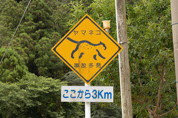 道路看板　ツシマヤマネコ注意　