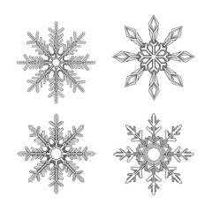 Set of four snowflakes isolated on white background
