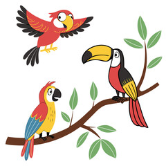 Vector art of three colorful cartoon tropical birds a toucan perched on a branch and two parrots, one flying with open wings and the other perched on the ground