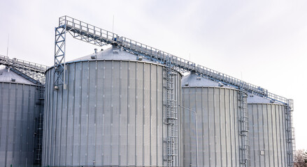 Grain storage. Silos on agro-processing and manufacturing plant for processing drying cleaning and storage of agricultural products. Modern steel agricultural grain granary silos. Agribusiness. © NastyaPhoto