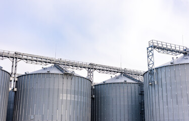Grain storage. Silos on agro-processing and manufacturing plant for processing drying cleaning and storage of agricultural products. Modern steel agricultural grain granary silos. Agribusiness.