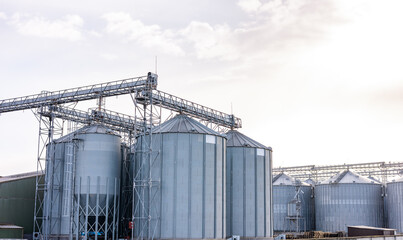 Plant for processing and silos for drying cleaning and storage of agricultural products, flour, cereals and grain. Silver tanks close-up. Silos in a barley field. Storage of the crop