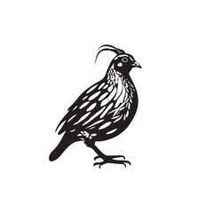 Fototapeta premium All 2