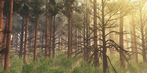 Forest in the morning in a fog in the sun, trees in a haze of light, glowing fog among the trees, 3D rendering