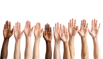 Group of people's hands showing various signs and gestures, like a five or a thumb up symbol, reaching out with their palms and fingers against an isolated background