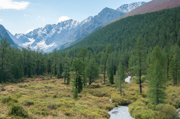 Part of Kuyguk valley with green forests and snow-covered mountain peaks, the Altai Republic, Russia