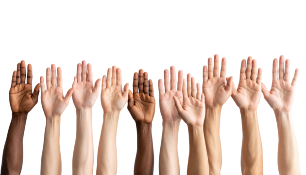 Group of people's hands showing various signs and gestures, like a five or a thumb up symbol, reaching out with their palms and fingers against an isolated background