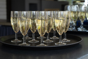 Glasses of champagne on a tray in a restaurant, close up