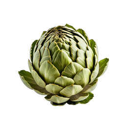 Fototapeta premium Close-up of a fresh artichoke (1)