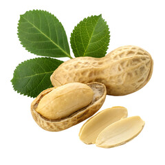 Fresh peanuts with green leaves isolated on transparent background