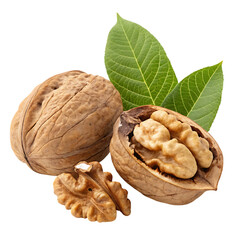 Whole and cracked walnuts with leaves isolated on transparent background