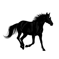 Black Horse Silhouette Running.