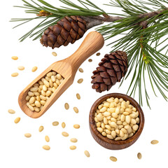 Pine nuts in wooden scoop and bowl with pine cones and needles isolated on transparent background