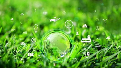 Crystal ball on moss with icons in green forest - environment esg concept, ecology and sustainable environment of the world. Eco-friendly green business. ecology, earth day, csr and net zero - Powered by Adobe