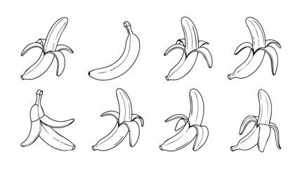 Collection of hand drawn banana illustrations various stages of peeling and whole fruit silhouette