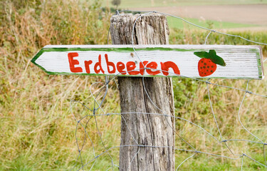 Schild Erdbeeren