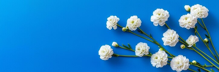 Obraz premium Serene Top View Composition of White Floral Arrangements