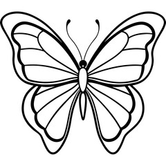 Minimalist Butterfly Outline Vector