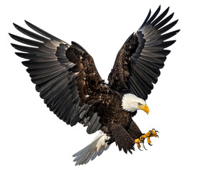 Naklejka premium Bald eagle in mid-flight, isolated on transparent cutout background
