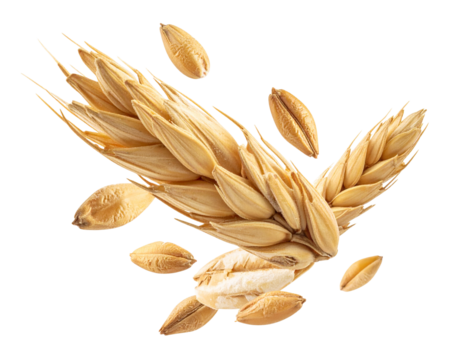 Barley with half slice falling and flotaing png