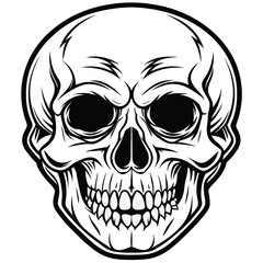 Obraz premium Detailed skull illustration in black and white